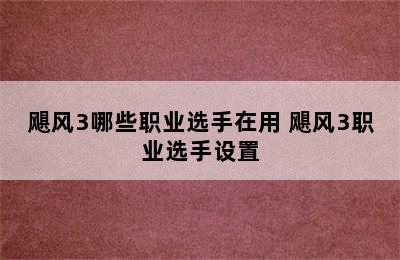 飓风3哪些职业选手在用 飓风3职业选手设置